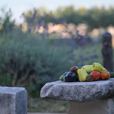 Antique View Solin Appartamento